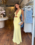 Halston Maxi Dress