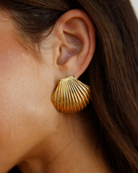 Shell Earrings